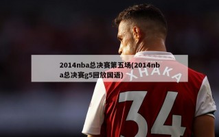 2014nba总决赛第五场(2014nba总决赛g5回放国语)