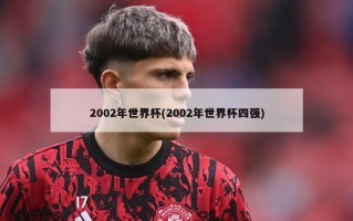 2002年世界杯(2002年世界杯四强)