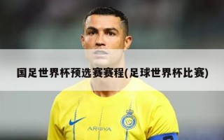国足世界杯预选赛赛程(足球世界杯比赛)