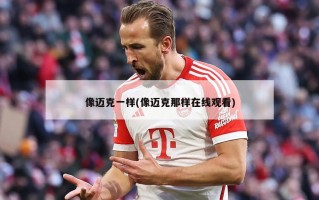像迈克一样(像迈克那样在线观看)
