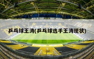 乒乓球王涛(乒乓球选手王涛现状)