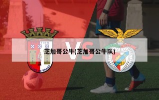 芝加哥公牛(芝加哥公牛队)