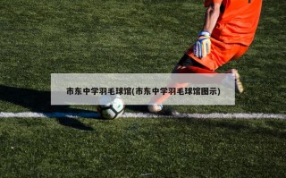 市东中学羽毛球馆(市东中学羽毛球馆图示)