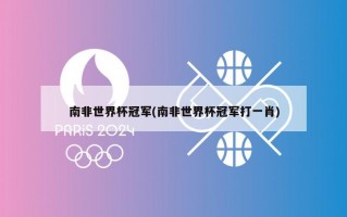 南非世界杯冠军(南非世界杯冠军打一肖)