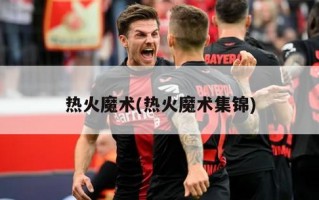 热火魔术(热火魔术集锦)