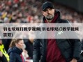 羽毛球双打教学视频(羽毛球双打教学视频 混双)