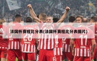 法国杯赛程比分表(法国杯赛程比分表图片)