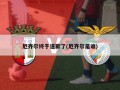 厄齐尔终于道歉了(厄齐尔是谁)