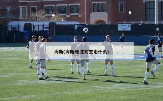 海斯(海斯维注射主治什么)