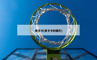 奥卡卡(奥卡卡的图片)