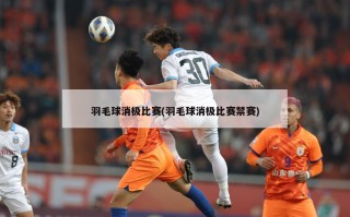 羽毛球消极比赛(羽毛球消极比赛禁赛)