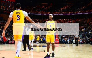 莫兹戈夫(莫兹戈夫身高)