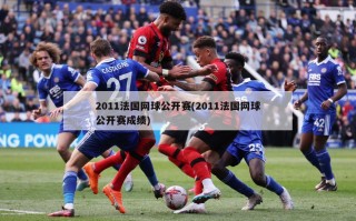 2011法国网球公开赛(2011法国网球公开赛成绩)