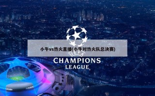 小牛vs热火直播(小牛对热火队总决赛)