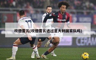 坎德雷瓦(坎德雷瓦进过意大利国家队吗)