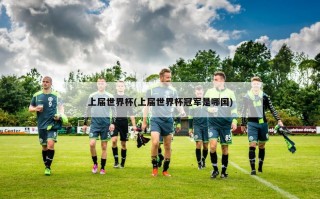 上届世界杯(上届世界杯冠军是哪国)