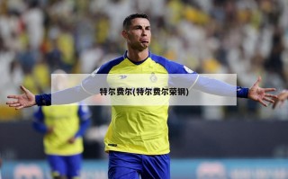 特尔费尔(特尔费尔荣钢)