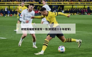 欧冠历届冠军亚军一览(欧冠近二十年冠军)