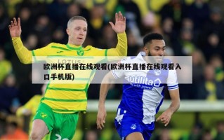 欧洲杯直播在线观看(欧洲杯直播在线观看入口手机版)