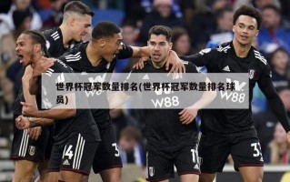 世界杯冠军数量排名(世界杯冠军数量排名球员)