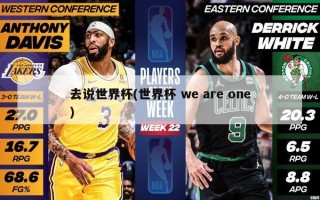去说世界杯(世界杯 we are one)