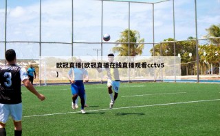 欧冠直播(欧冠直播在线直播观看cctv5)