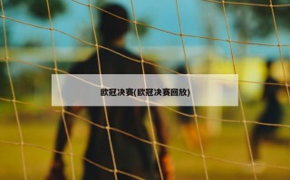 欧冠决赛(欧冠决赛回放)