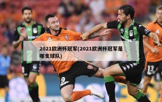 2021欧洲杯冠军(2021欧洲杯冠军是哪支球队)
