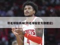 羽毛球拍商城(羽毛球拍官方旗舰店)
