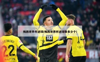 梅西世界杯进球(梅西世界杯进球数多少个)
