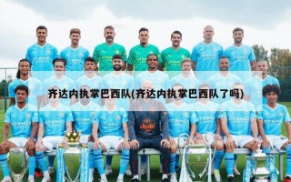齐达内执掌巴西队(齐达内执掌巴西队了吗)