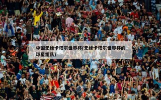 中国无缘卡塔尔世界杯(无缘卡塔尔世界杯的球星组队)