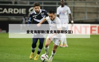 查克海耶斯(查克海耶斯投篮)