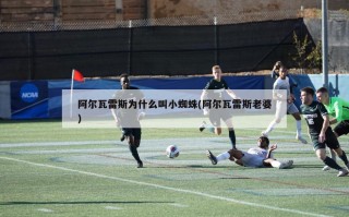 阿尔瓦雷斯为什么叫小蜘蛛(阿尔瓦雷斯老婆)