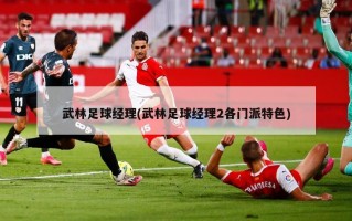 武林足球经理(武林足球经理2各门派特色)