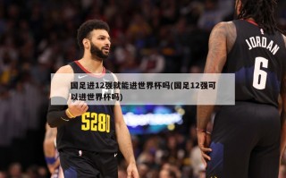 国足进12强就能进世界杯吗(国足12强可以进世界杯吗)