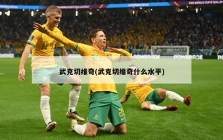 武克切维奇(武克切维奇什么水平)