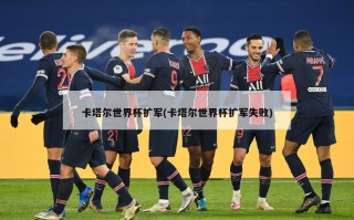 卡塔尔世界杯扩军(卡塔尔世界杯扩军失败)