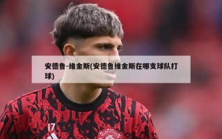 安德鲁-维金斯(安德鲁维金斯在哪支球队打球)