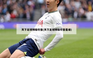 天下足球博格坎普(天下足球博格坎普是谁)