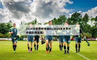 2014年世界杯中国队(2014年世界杯中国队预选赛)