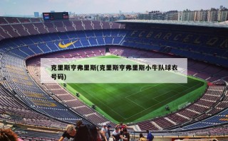 克里斯亨弗里斯(克里斯亨弗里斯小牛队球衣号码)