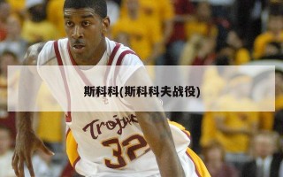 斯科科(斯科科夫战役)