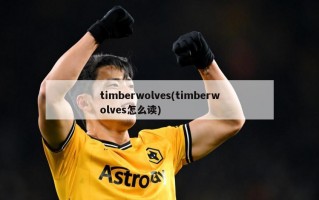 timberwolves(timberwolves怎么读)