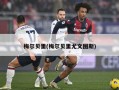 梅尔贝里(梅尔贝里尤文图斯)