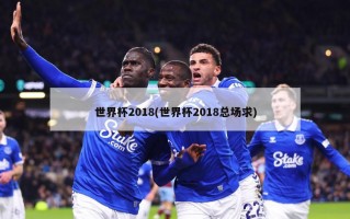 世界杯2018(世界杯2018总场求)