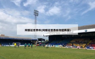 阿根廷世界杯(阿根廷世界杯夺冠阵容)