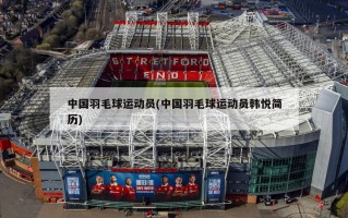 中国羽毛球运动员(中国羽毛球运动员韩悦简历)
