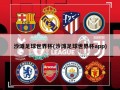 沙滩足球世界杯(沙滩足球世界杯app)