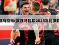 武汉马拉松(武汉马拉松2025年比赛路线)